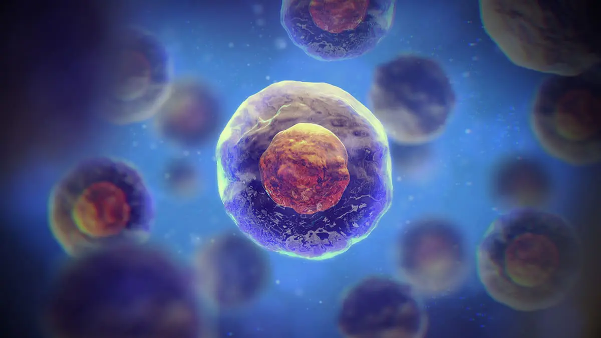 Changes in absorbance of monolayer of living cells induced by laser radiation at 633, 670, and 820 nm