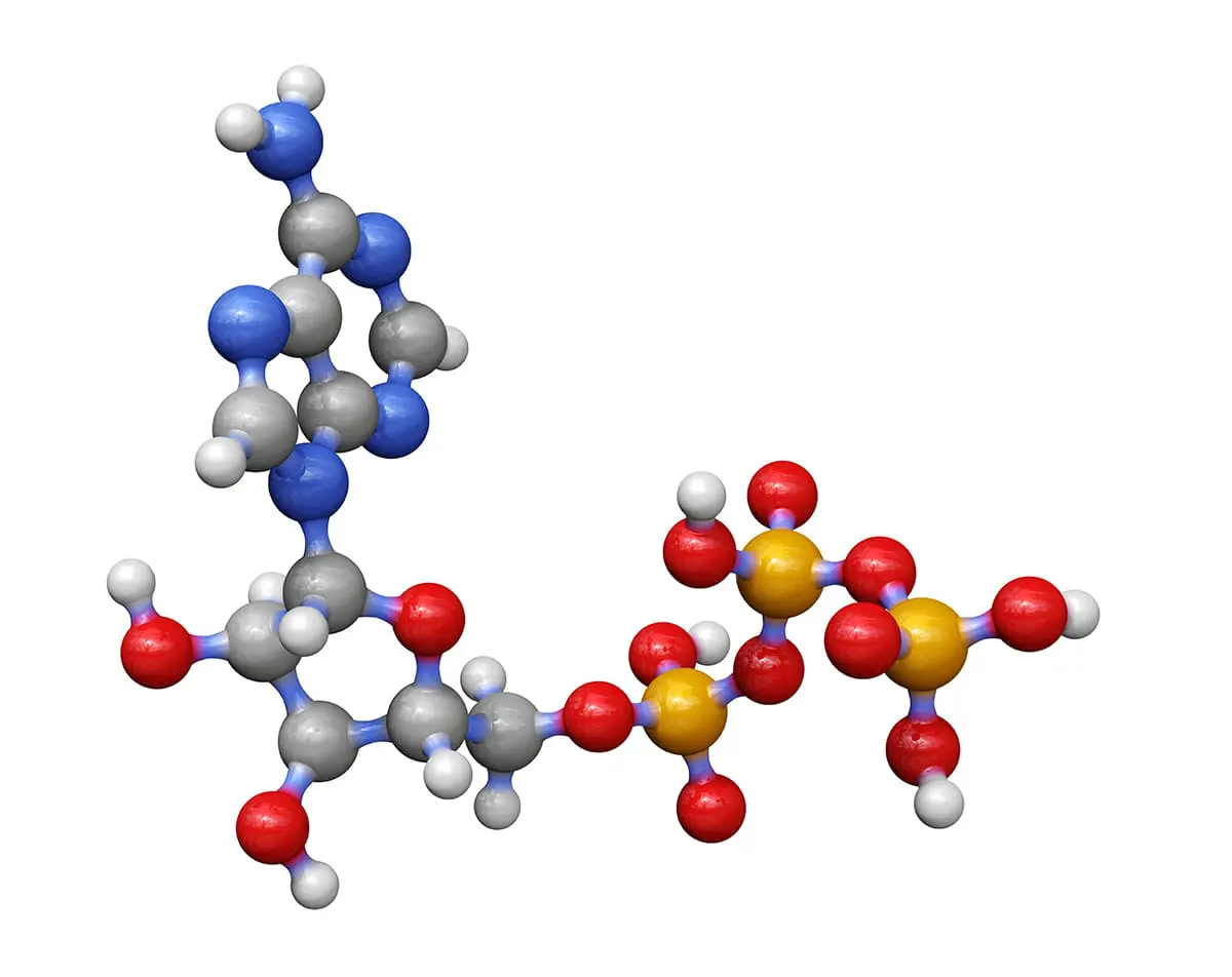 Mitochondrial mechanisms of photobiomodulation in context of new data about multiple roles of ATP